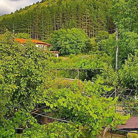 Gasthuis House - попниколови *