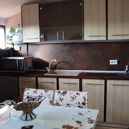 House - попниколови Sapareva Banya