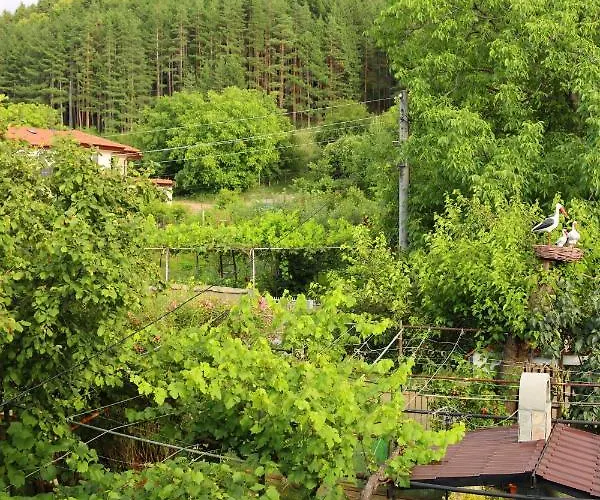 Penzion House - попниколови *