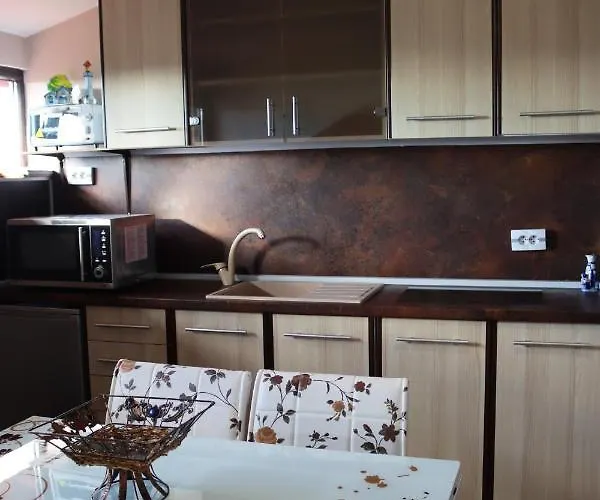 House - попниколови Sapareva Banja