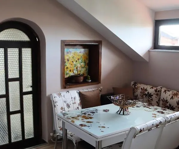 Penzion House - попниколови Sapareva Banja