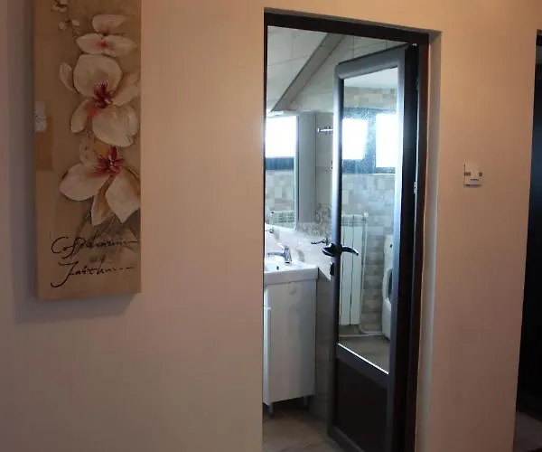 Penzion House - попниколови Sapareva Banja